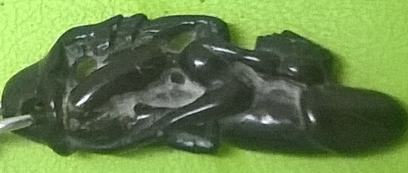 ปลัดนางแอ่น หลวงพ่อคง วัดวังสรรพรส