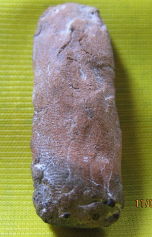 ได้มากสดๆๆเลยครับแต่ไม่แน่ใจครับวานเกจิช่วยดูที่