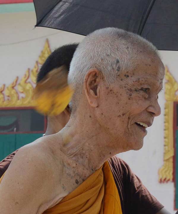 หลวงปู่ป่วน ถิรธัมโม วัดช้างน้อย อ.บางไทร จ.พระนครศรีอยุธยา สิริอายุ 93 ปี พ.ศ. 2558