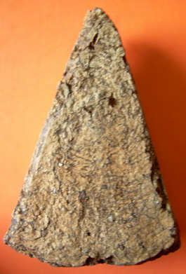 นางพญาครับ